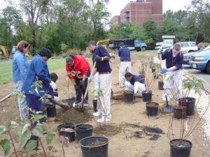 Students planting